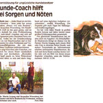 2009 Glinder Zeitung